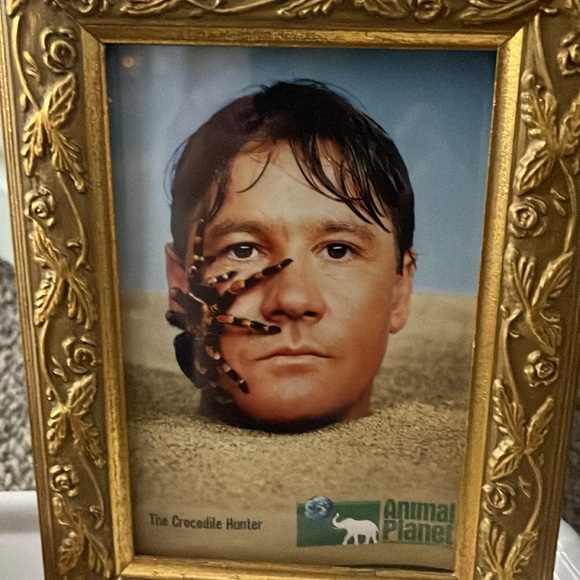 Crocodile Hunter Postcard VNTG 2000 w/ crocs head - Picture 3 of 5